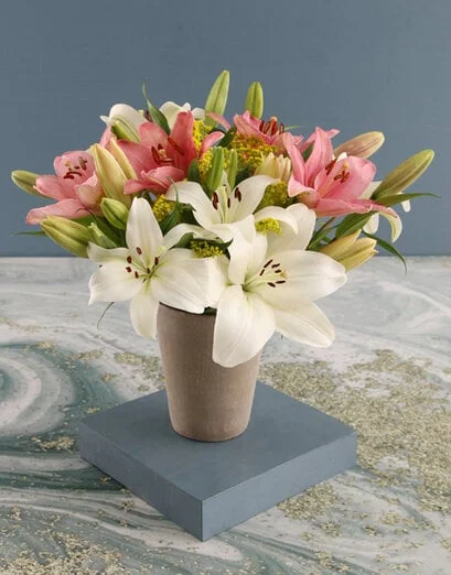 Lovely Lilies in Cement Pot - Product image