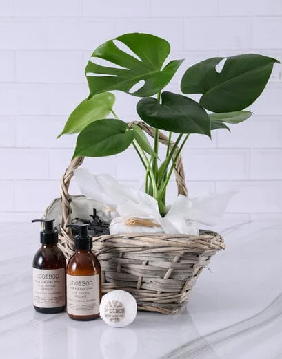 Magnificent Monsteria Bath Hamper - Product image