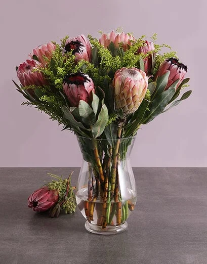 Mixed Proteas in a Vase - Product image