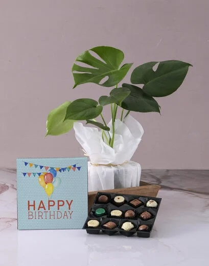Monsteria Birthday Hamper - Product image