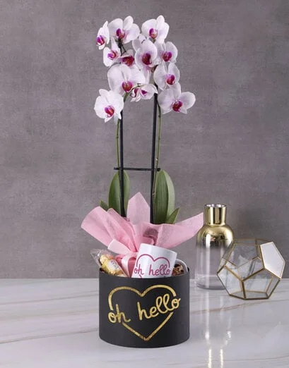 Oh Hello Orchid In Black Box - Product image