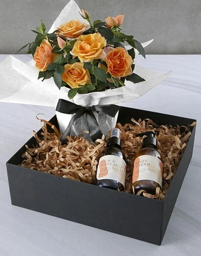 Orange Potted Rose Bush In Wrapping - Product image