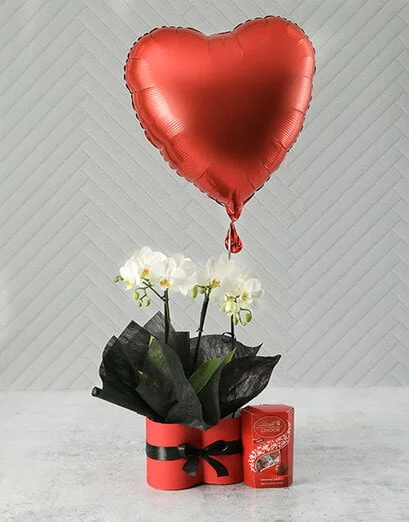 Orchid Hamper From The Heart - Product image