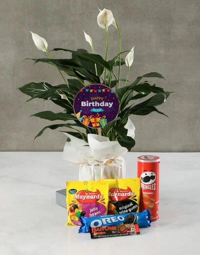 Peace Lily Birthday Combo - Product image