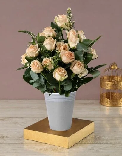 Peachy Rose and White Daisy Arrangement - Product image