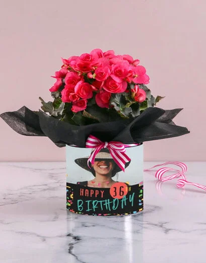 Personalised Begonia Birthday Arrangement - Product image