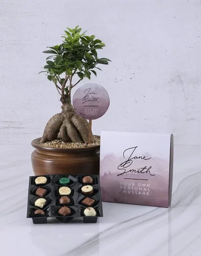 Personalised Ficus Bonsai Gift - Product image