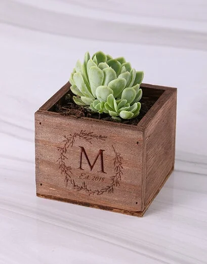 Personalised Laurel Wooden Box with Succulent - Product image