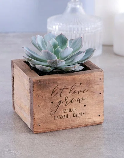 Personalised Let Love Grow Succulent - Product image