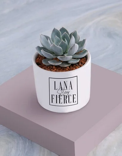 Personalised Stay Fierce Succulent - Product image