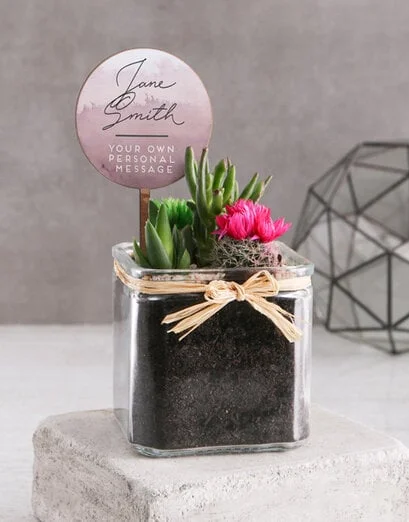 Personalised Succulent Mix In Square Vase - Product image