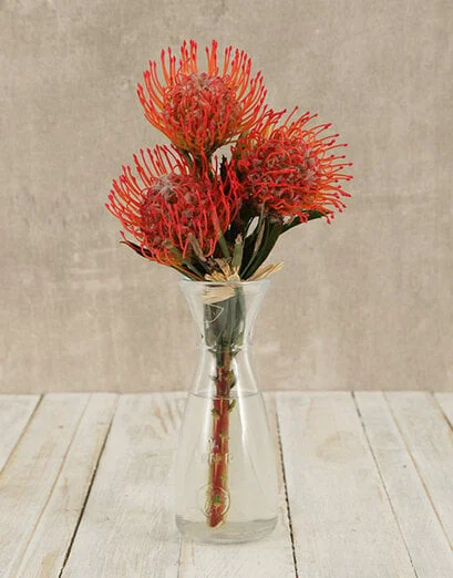 Pincushion Proteas in Elegant Vase - Product image