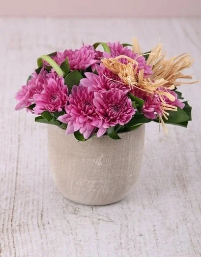 Pink Daisies in a Pottery Vase Petite - Product image