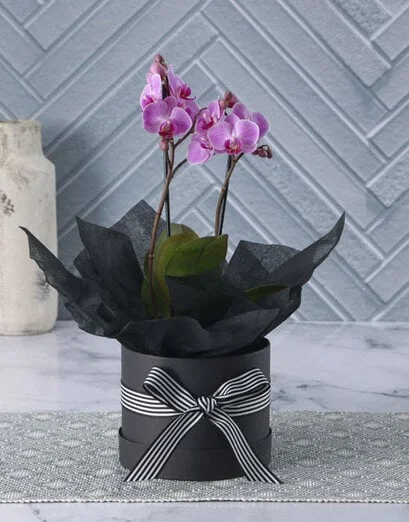 Pink Orchid Charm In Black Hat Box - Product image