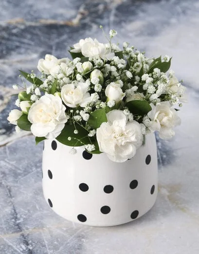 Pristine Mini White Carnations - Product image