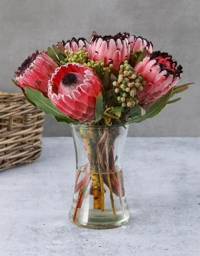 Protea Splendour Arrangement - Product image