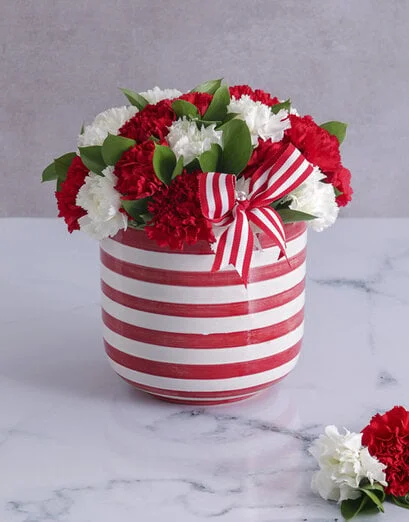 Red and White Carnations in a Stripy Pot - Product image