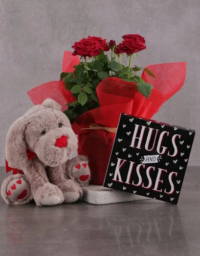Red Rose Bush Delight - Product image