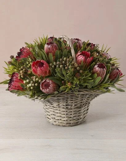 Stately Mixed Proteas in a Large Basket - Product image