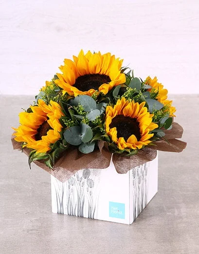 Striking Sunflower Box - Product image