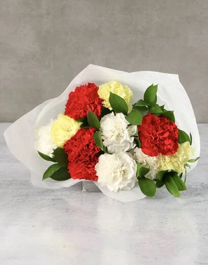 Stunning Carnations Medley - Product image