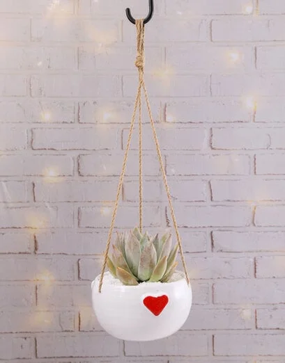 Succulent In Hanging Heart Pot - Product image