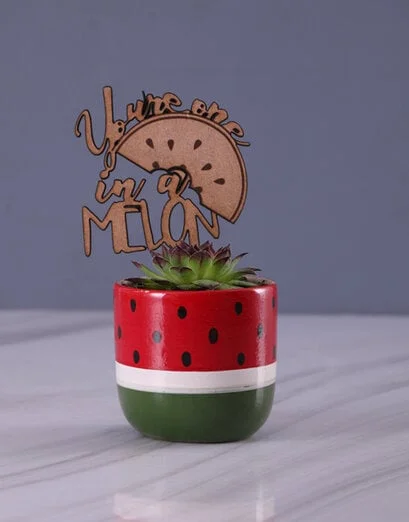 Succulent in Watermelon Pot - Product image