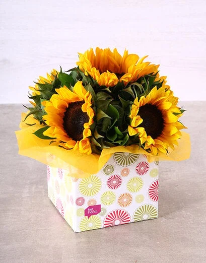 Sunflowers in Circle Box - Product image