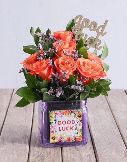 Sunset Good Luck Orange Blooms - Product image