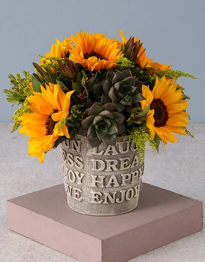Superb Sunflowers and Succulents - Product image
