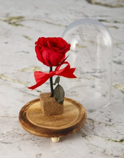 Tale as Old as Time Preserved Rose - Product image