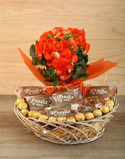 Temptation - Product image