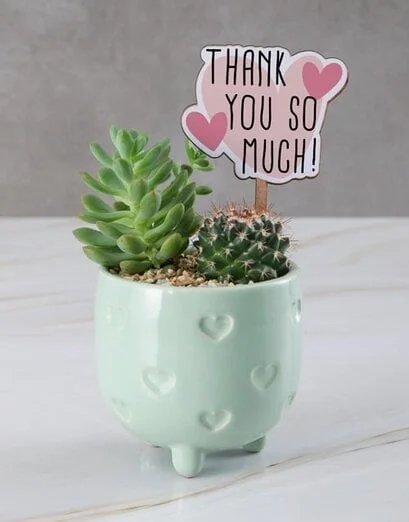 Thank You Succulents Green Pot - Product image