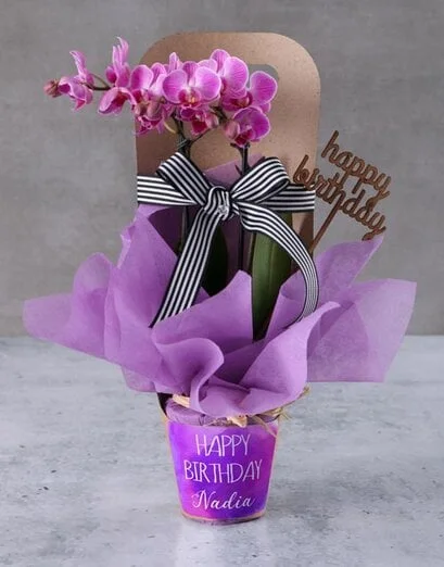 The Birthday Orchid Gift - Product image