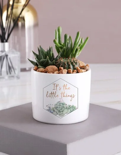 The Little Things Cacti Succulent Pot - Product image