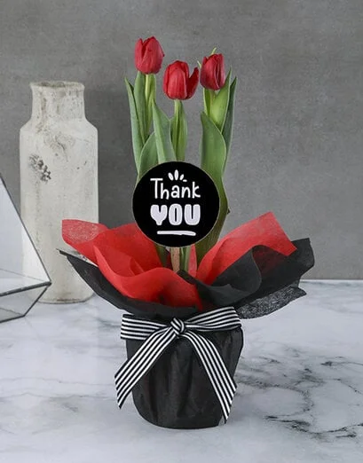 Thousand Thank Yous Tulips - Product image