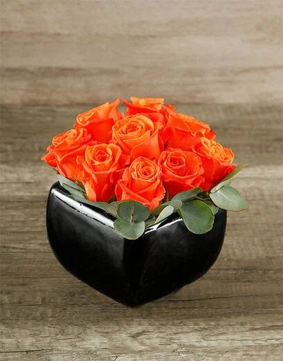 Vibrant Warmth - Product image
