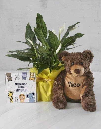 Welcome Little One Plant Baby Hamper - Product image