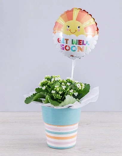 White Kalanchoe Plant and Get Well Balloon Gift - Product image