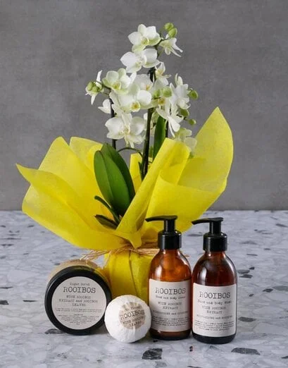 White Orchid Sunshine Surprise - Product image