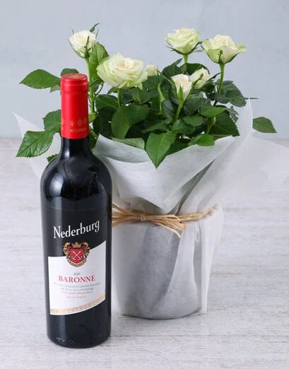 White Rose Bush in Wrapping - Product image