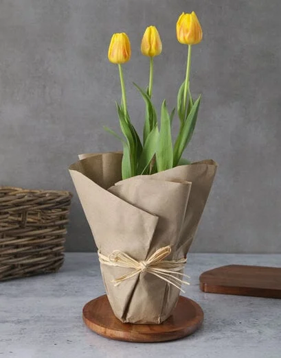 Yellow Tulip Plant in Craft Paper - Product image